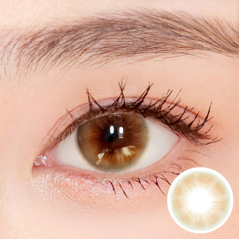 [Yearly] i-SHA Sugar Pastel i Baby Brown Colored Contact Lenses