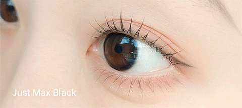 [Monthly] Just MAX Black Colored Contact Lenses