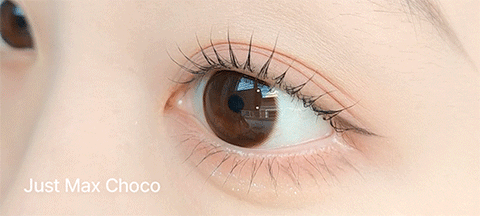 [Monthly] Just MAX Choco Brown Colored Contact Lenses