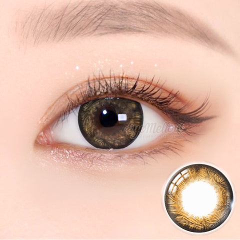 Max Brown Colored Contact Lenses - Silicone hydrogel