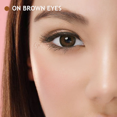[Yearly] Dalia Brown (Hyperopia) Colored Contact Lenses