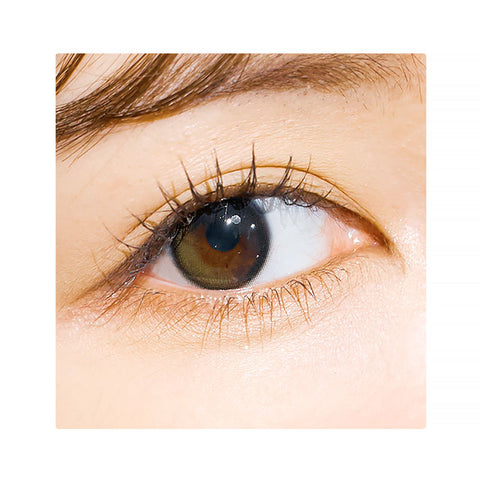 [Monthly] i-SHA Polaris Ursa Olive Colored Contact Lenses - Silicone hydrogel