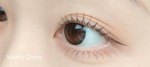 [6months] Velvety Choco (Toric) Colored Contact Lenses - Silicone Hydrogel