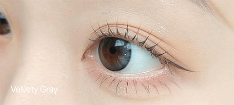 [6months] Velvety Gray (Toric) Colored Contact Lenses - Silicone Hydrogel