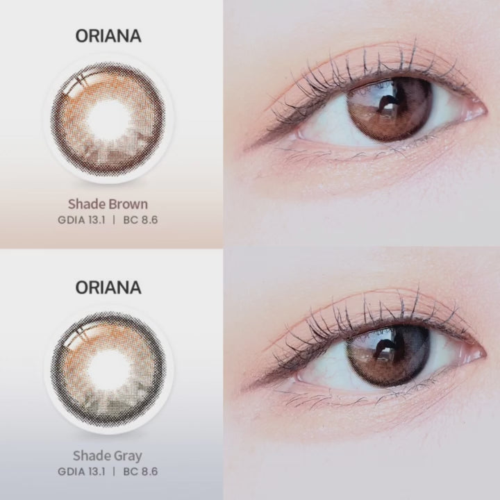 [1Day] i-SHA Oriana Shade Brown Colored Contact Lenses (10Lenses)