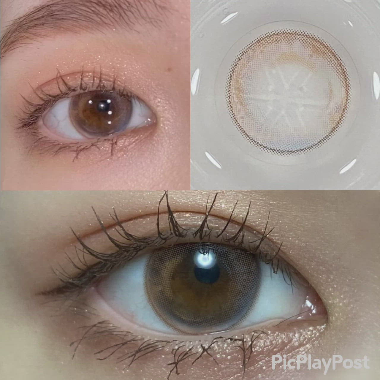 [Yearly] i-SHA Season Eye Spring Pink Brown Colored Contact Lenses