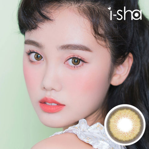 [Yearly] Melo Art Pine Brown Colored Contact Lenses